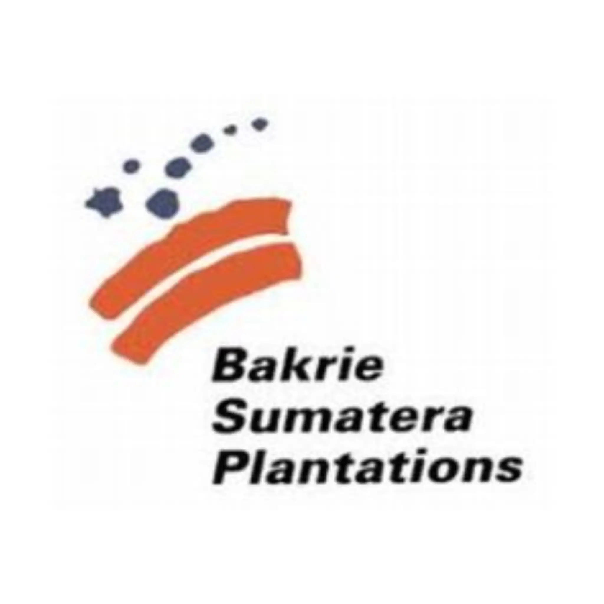 Partner - PT. Domas Agrointi Prima - PT. Pyramida Kimia Semesta - PT. Pancasakti Group